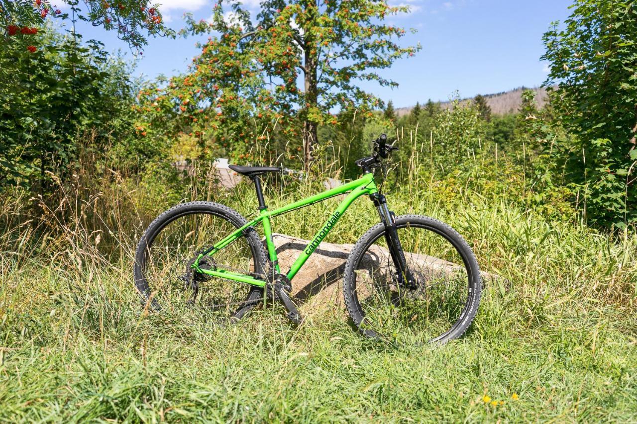 Ferienanlage Zum Wildbach Schierke Exterior photo